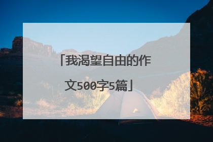 我渴望自由的作文500字5篇