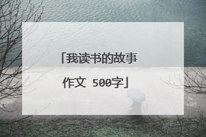 我读书的故事 作文 500字