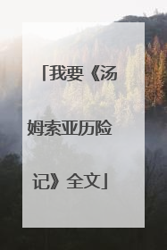 我要《汤姆索亚历险记》全文
