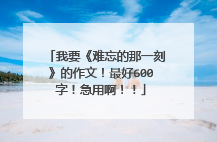 我要《难忘的那一刻》的作文!最好600字!急用啊!!