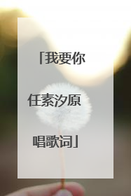 我要你任素汐原唱歌词