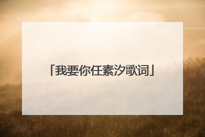 我要你任素汐歌词