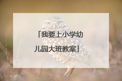 我要上小学幼儿园大班教案