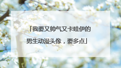 我要又帅气又卡哇伊的男生动漫头像,要多点