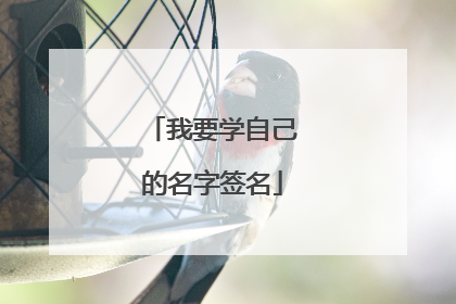 我要学自己的名字签名