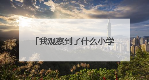 我观察到了什么小学四年级作文400字