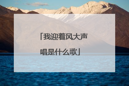 我迎着风大声唱是什么歌
