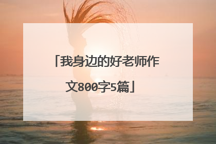 我身边的好老师作文800字5篇