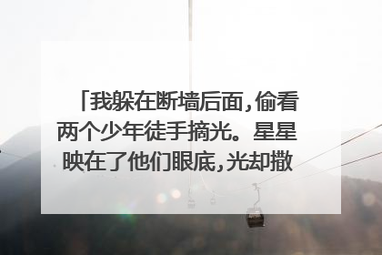 我躲在断墙后面,偷看两个少年徒手摘光。星星映在了他们眼底,光却撒在了我的身上。语文功底不好不太理解？
