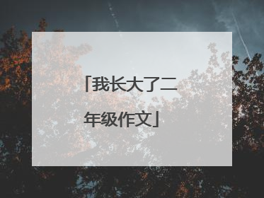 我长大了二年级作文