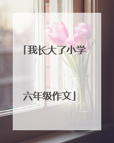 我长大了小学六年级作文