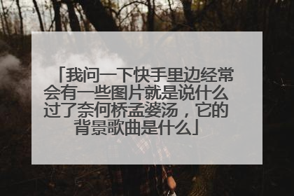 我问一下快手里边经常会有一些图片就是说什么过了奈何桥孟婆汤,它的背景歌曲是什么