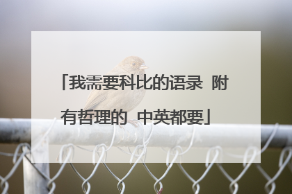 我需要科比的语录 附有哲理的 中英都要