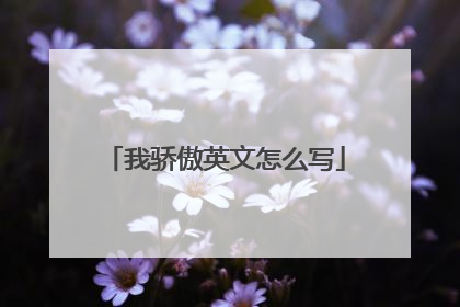 我骄傲英文怎么写