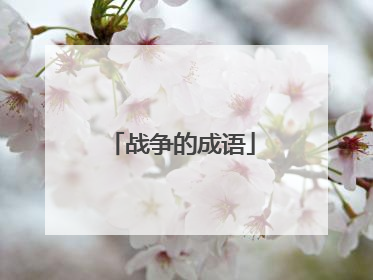 战争的成语