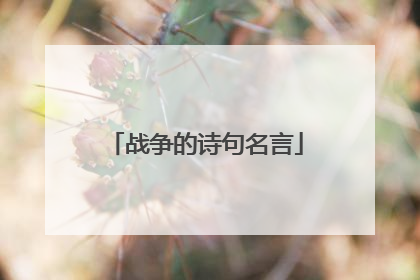 战争的诗句名言