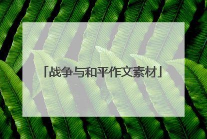 战争与和平作文素材