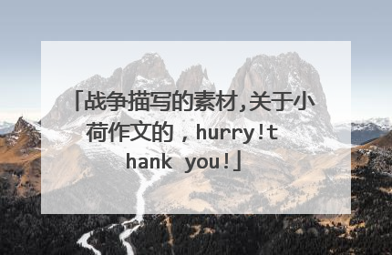 战争描写的素材,关于小荷作文的,hurry!thank you!