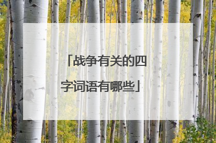 战争有关的四字词语有哪些