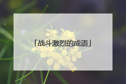 战斗激烈的成语