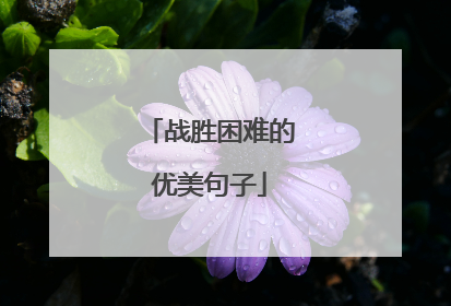 战胜困难的优美句子