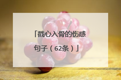 戳心入骨的伤感句子(62条)