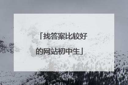 找答案比较好的网站初中生