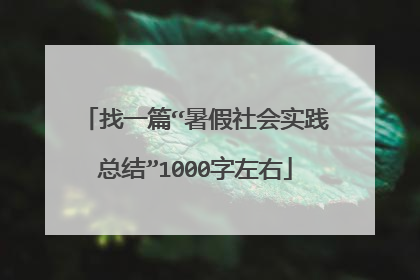 找一篇“暑假社会实践总结”1000字左右