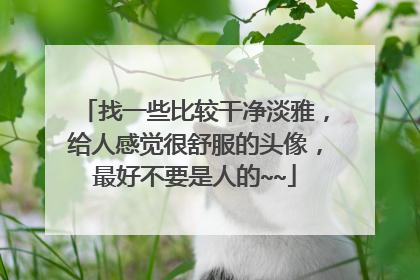 找一些比较干净淡雅,给人感觉很舒服的头像,最好不要是人的~~