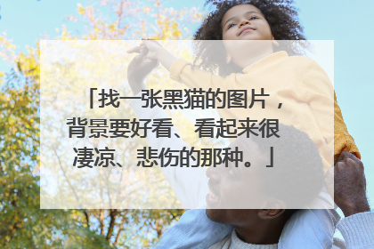 找一张黑猫的图片,背景要好看、看起来很凄凉、悲伤的那种。