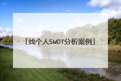 找个人SWOT分析案例