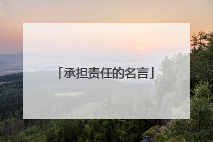 承担责任的名言