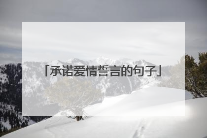 承诺爱情誓言的句子