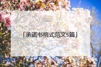 承诺书格式范文5篇