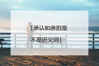 承认和承担是不是近义词