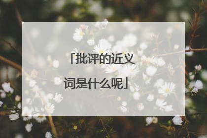 批评的近义词是什么呢
