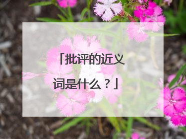 批评的近义词是什么?