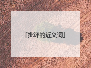批评的近义词