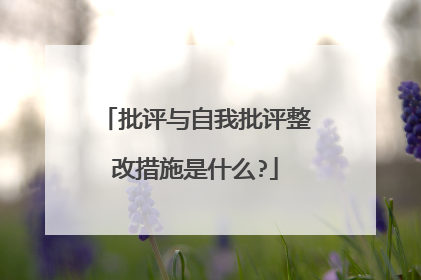 批评与自我批评整改措施是什么?