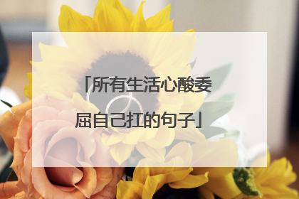 所有生活心酸委屈自己扛的句子