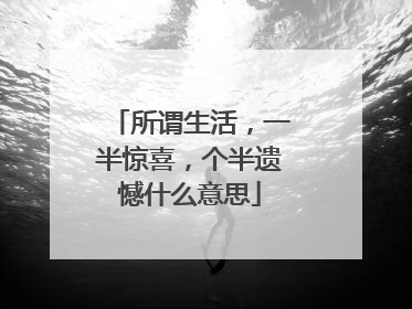 所谓生活，一半惊喜，个半遗憾什么意思