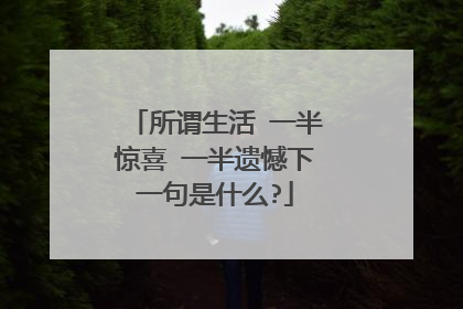 所谓生活 一半惊喜 一半遗憾下一句是什么?