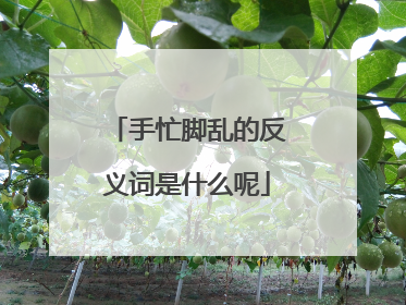 手忙脚乱的反义词是什么呢