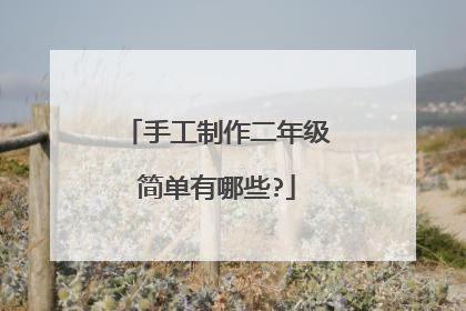 手工制作二年级简单有哪些?