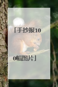 手抄报100幅图片