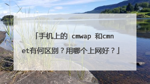 手机上的 cmwap 和cmnet有何区别?用哪个上网好?
