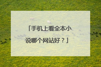 手机上看全本小说哪个网站好？