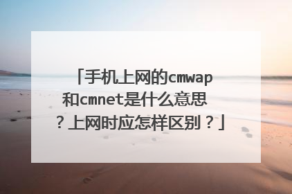 手机上网的cmwap和cmnet是什么意思?上网时应怎样区别?