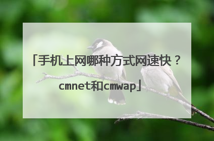 手机上网哪种方式网速快?cmnet和cmwap