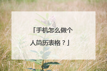 手机怎么做个人简历表格？